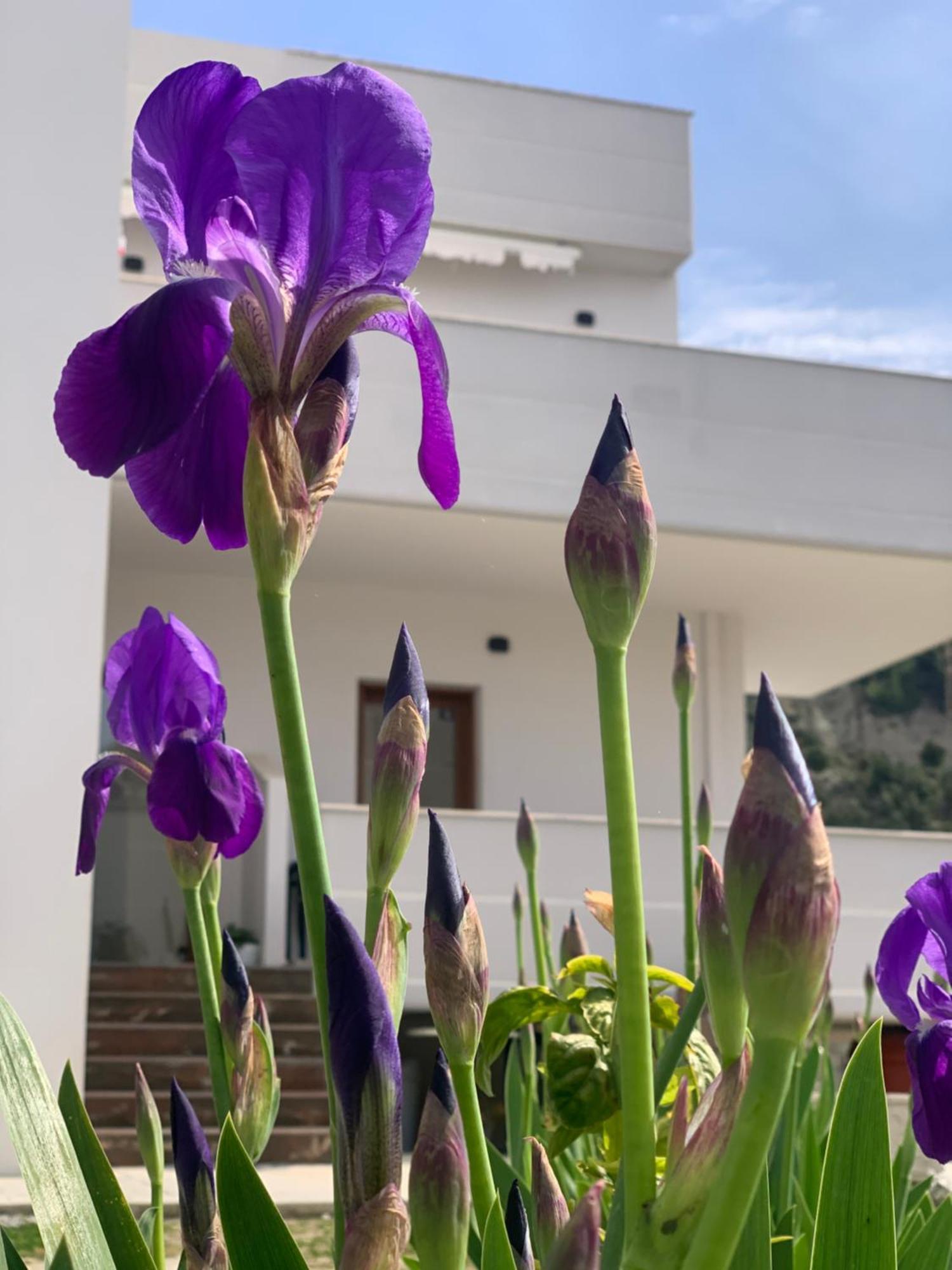 Villa Rreze Dielli Vlorë Buitenkant foto